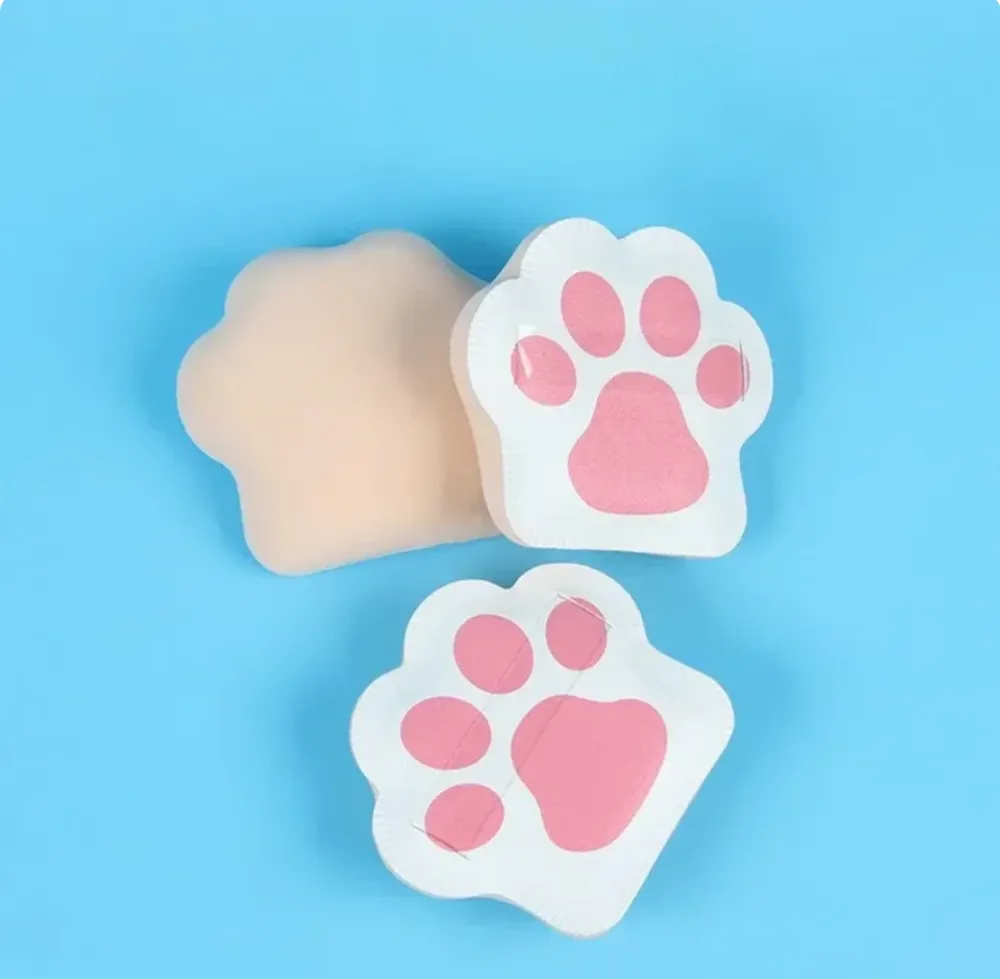 Imagen de SET ESPONJITAS X 2 A2401