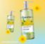 Imagen de JABON LIQUIDO ANIS 1L