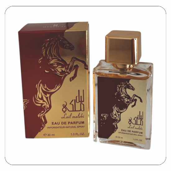 Imagen de PERFUME MYSTICAL LAIL MALEKI MY730-21 30ML