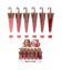Imagen de LIP GLOSS MATTE SOMBRILLA PG-8756