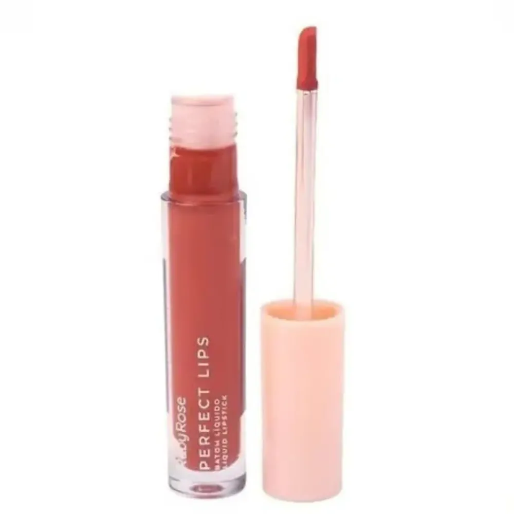 Imagen de LABIAL LIQ PERFECT RUBY ROSE HB-L6200-7